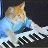 KeyboardKat