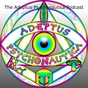 Psychonautica Panel #3 - Spirituality, Aliens and AI
