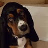 dan