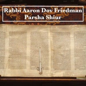 Acharei-Kedoshim - Rabbi Aaron Dov Friedman - 05.08.25