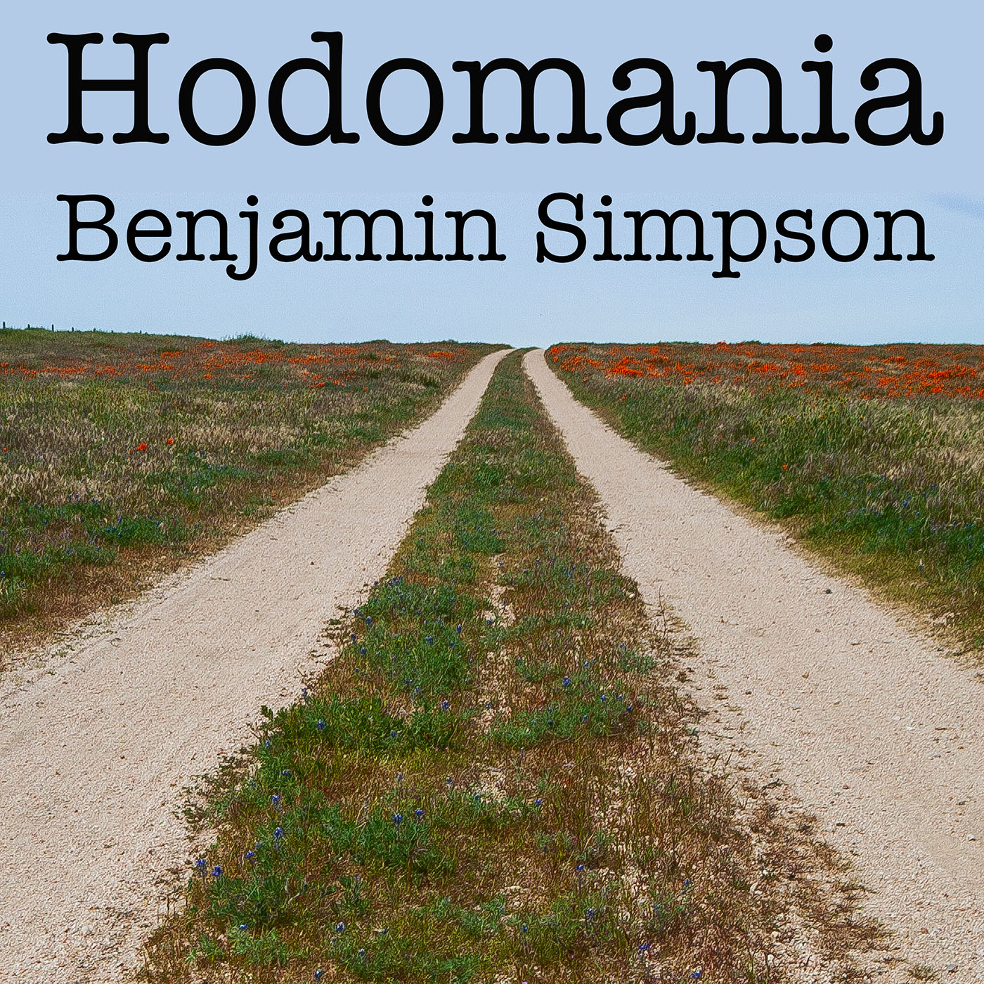 Hodomania by Benjamin Simpson