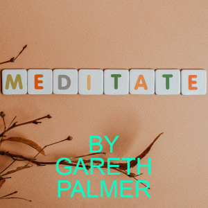 Meditation by Gareth Palmer