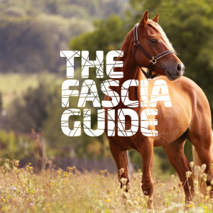 Varför Fasciaguiden häst? Kort intervju om podcasten