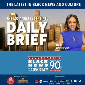 The Daily Brief Podcast