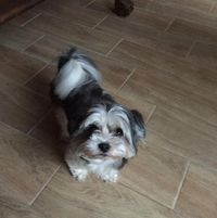 Mia Pia