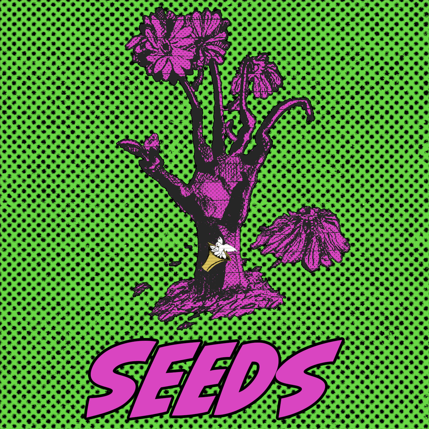 Seeds