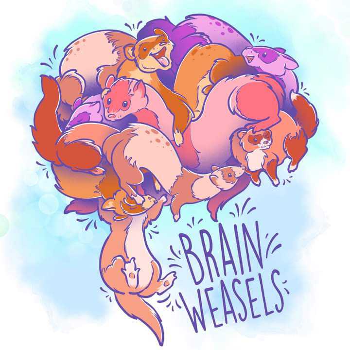 Brain Weasels