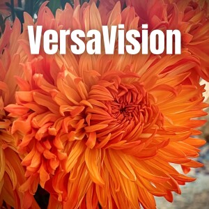 VersaVision