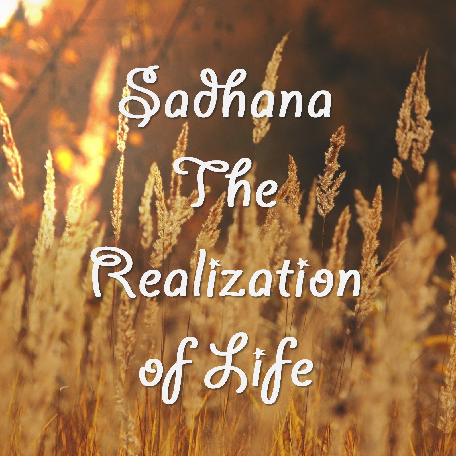 The Sadhana: Realisation of Life