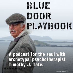 Blue Door Playbook