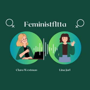Olika aspekter av feminism med Emelie Nyman