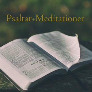 Psaltarmeditationer