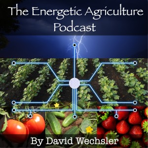 The Effects of Energetic Agriculture on Plants and Crops