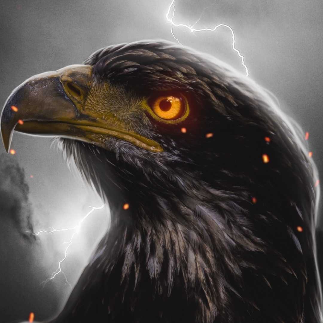 Prophertic Apostle🦅🦅