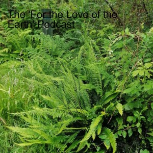 For the Love of the Earth Podcast