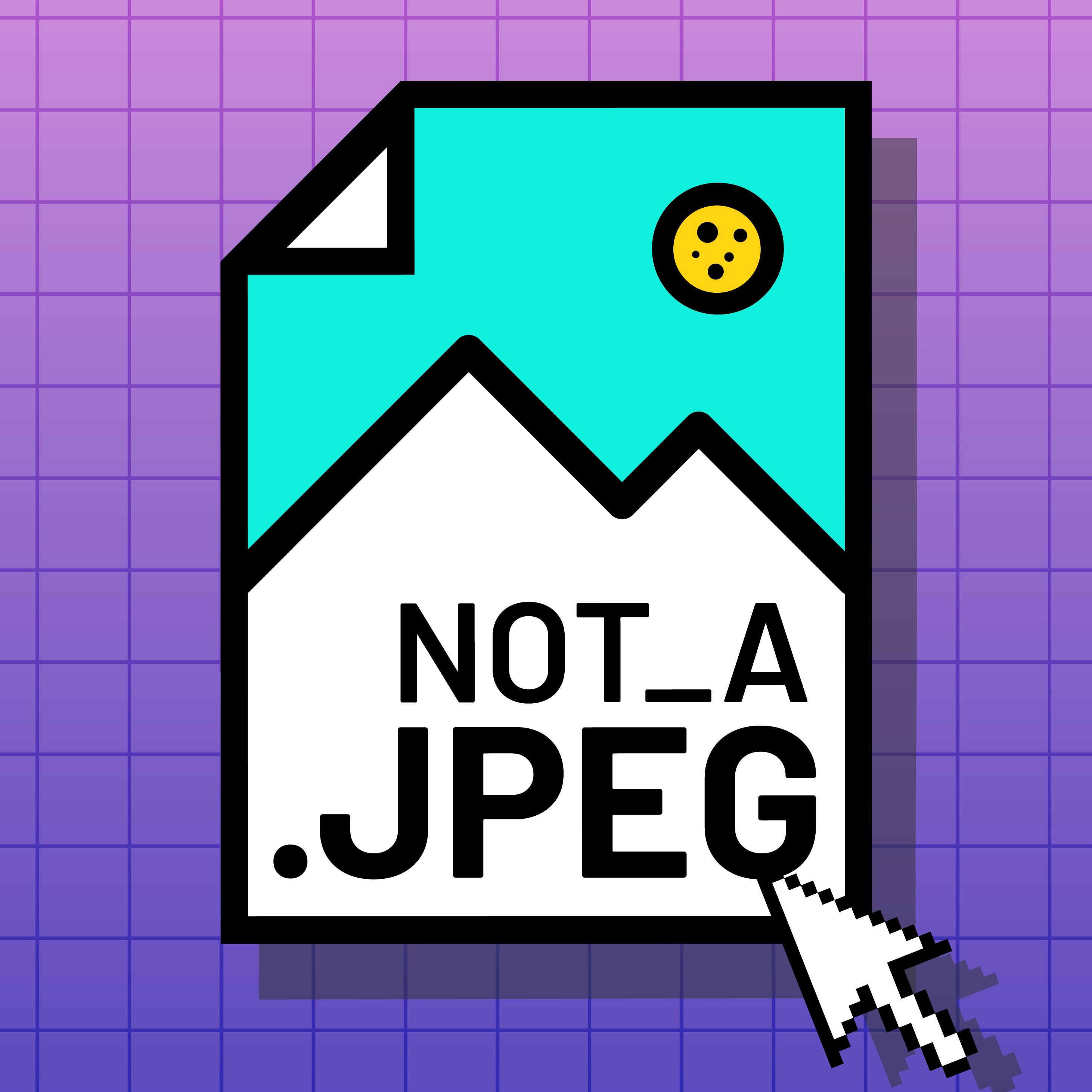 Not a JPEG