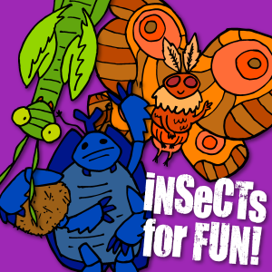 Insects for Fun!