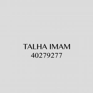 The talhaimam325's Podcast