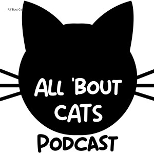 All ’Bout Cats Podcast