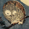 Greg Wilson
