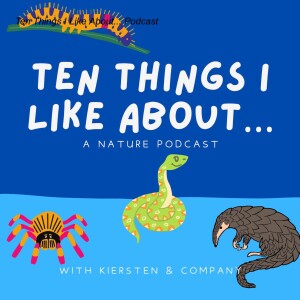 Ten Things I Like About... Podcast