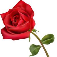 Mandy Mackenzie 🦋