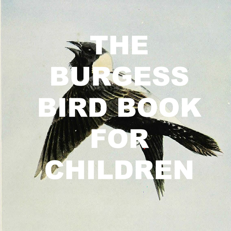 The Burgess Bird Book for Children﻿