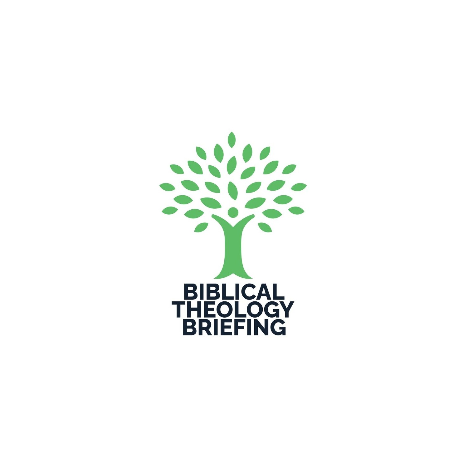 Biblical Theology Briefing