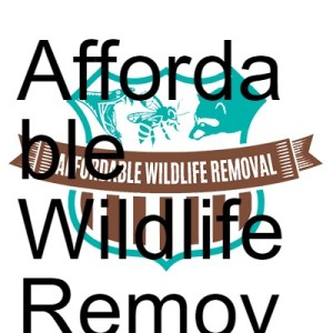 Animal Removal Services Near Me