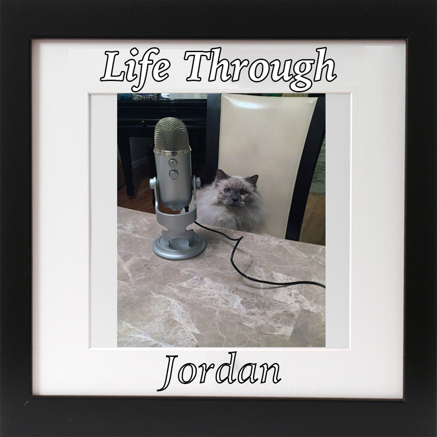 Life Through Jordan
