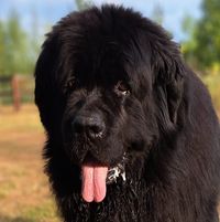 Juul Indeoudevrijheid