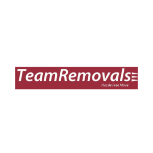 Top 4 Reasons to Hire a Professional Mover