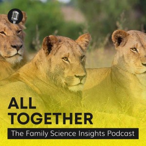 Dawn O. Braithwaite, Ph.D.: Effective Communication for Meaningful Family Rituals | All Together #52