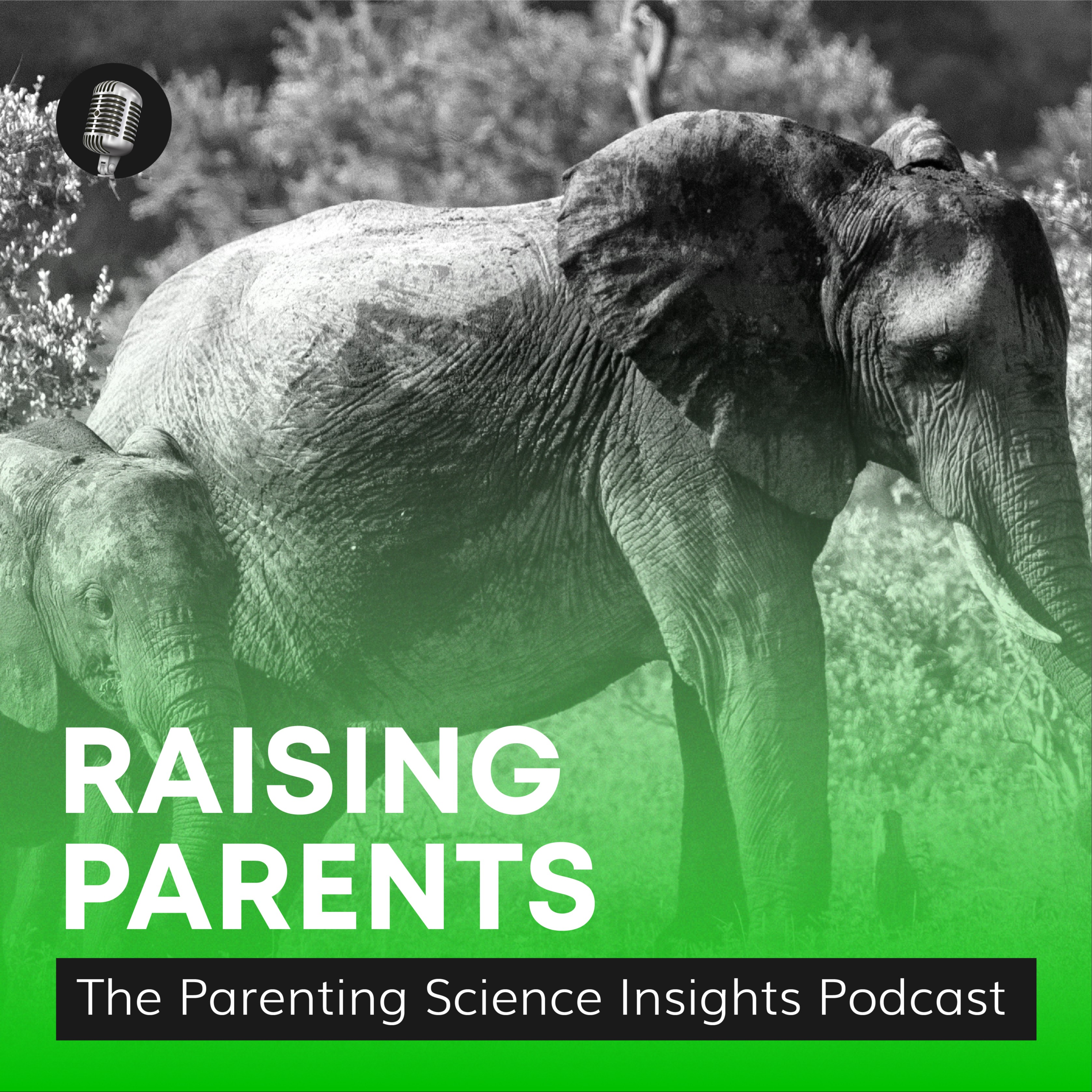 Raising Parents: The Parenting Science Insights podcast