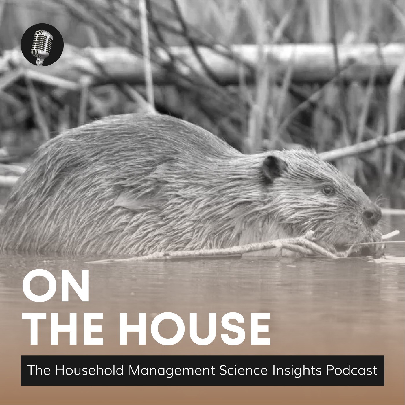 On the House: The Household Management Science Insights Podcast