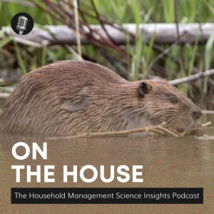 Dr. Nicola Willand: Efficient Home — Gas and Electric Safety | On the House #52