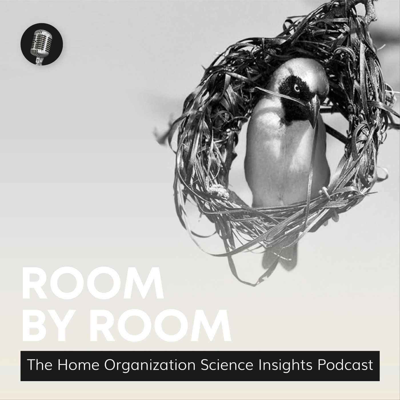 Room by Room: The Home Organization Science Insights Podcast