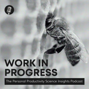 Prof. Guillermo Campitelli: How to Improve Your Decision-making Skills and Have It Promote Your Productivity | Work in Progress #34