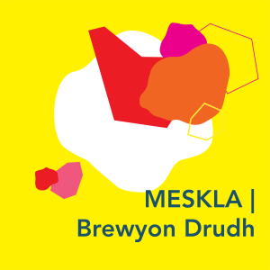 MESKLA | Brewyon Drudh #10 A Conversation About Place, Art & Cultural Capital with Amanprit Sandhu