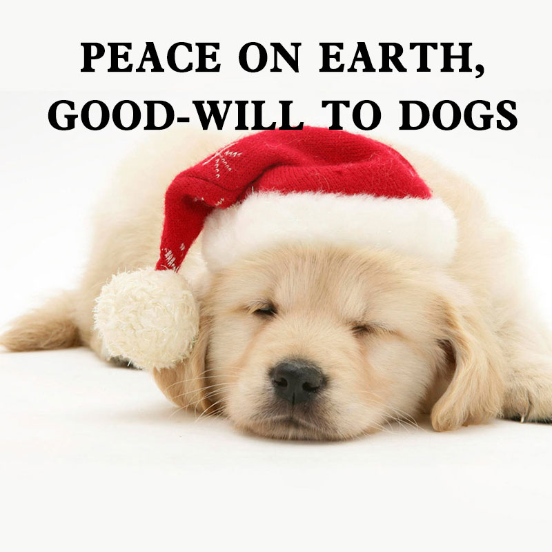 Peace On Earth, Good-Will To Dogs