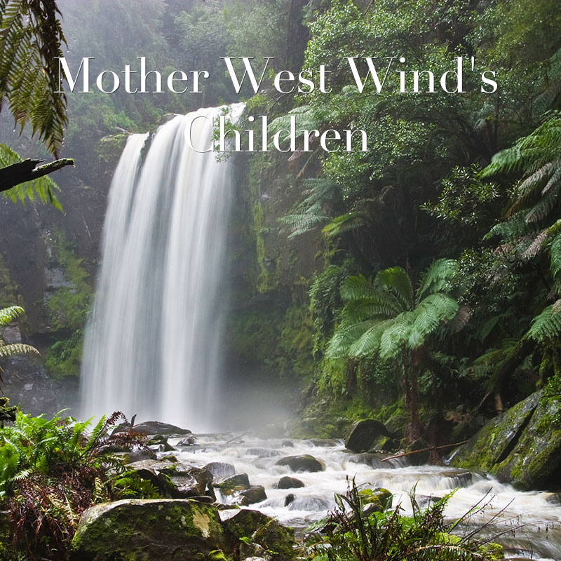Mother West Wind's Children﻿