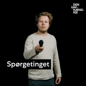 Hvor mange politiske ordførere kan Socialdemokratiet have?