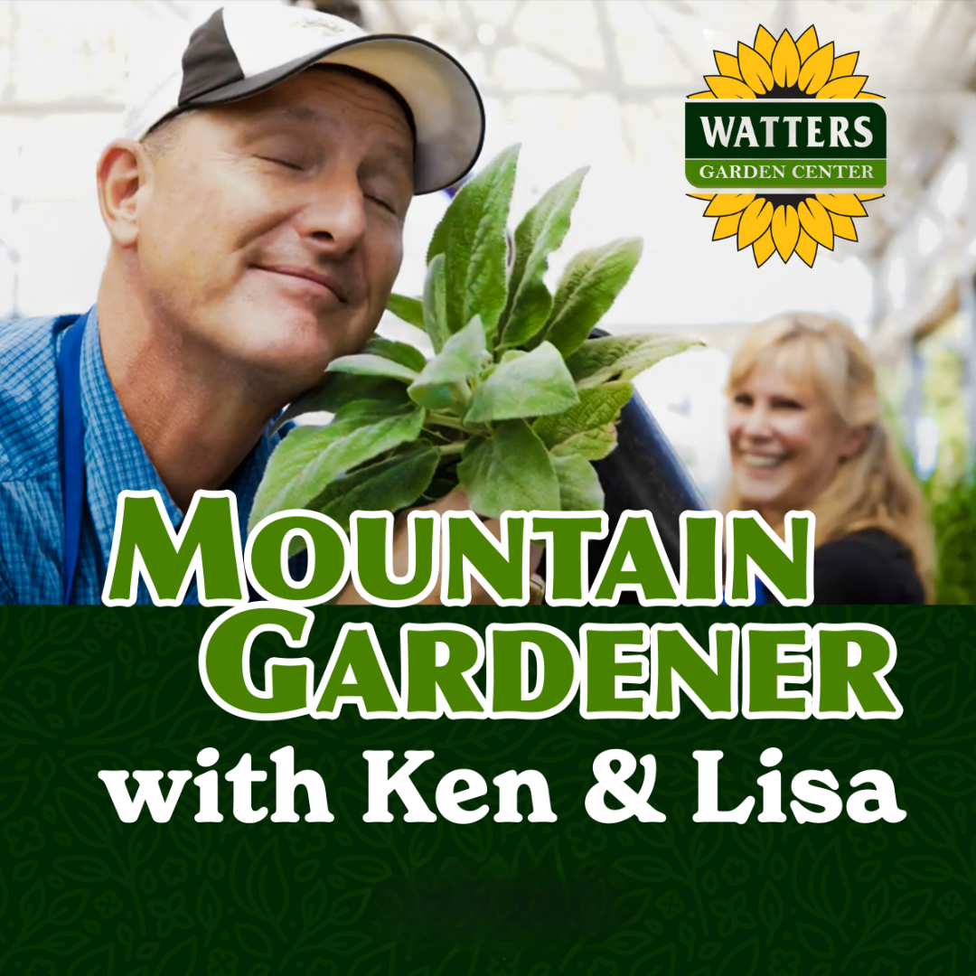 Mountain Gardener with Ken & Lisa