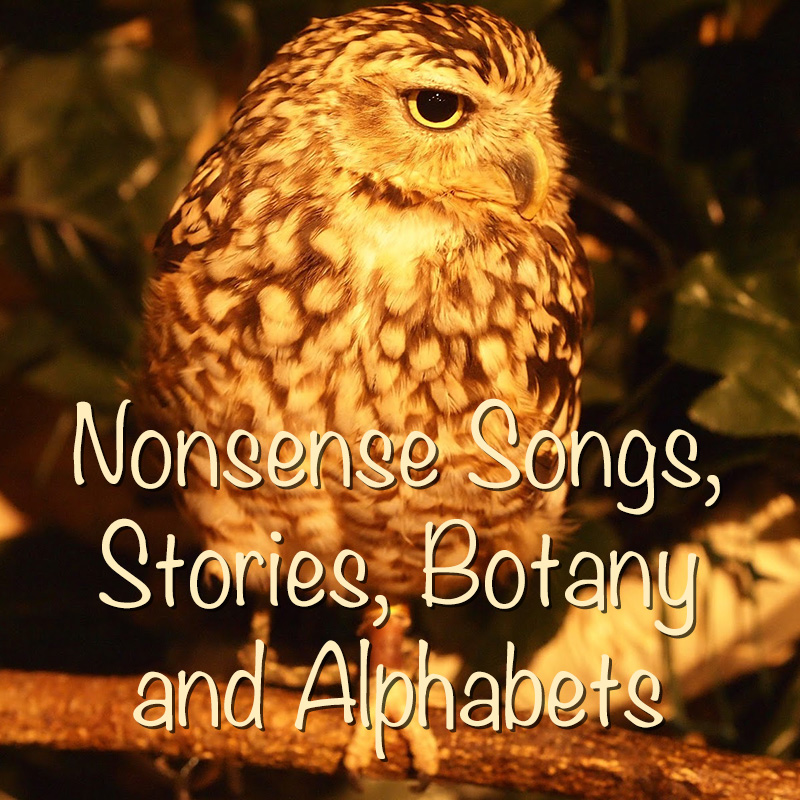 Nonsense Songs, Stories, Botany and Alphabets