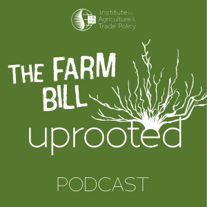 Update: What's going on with the Farm Bill?
