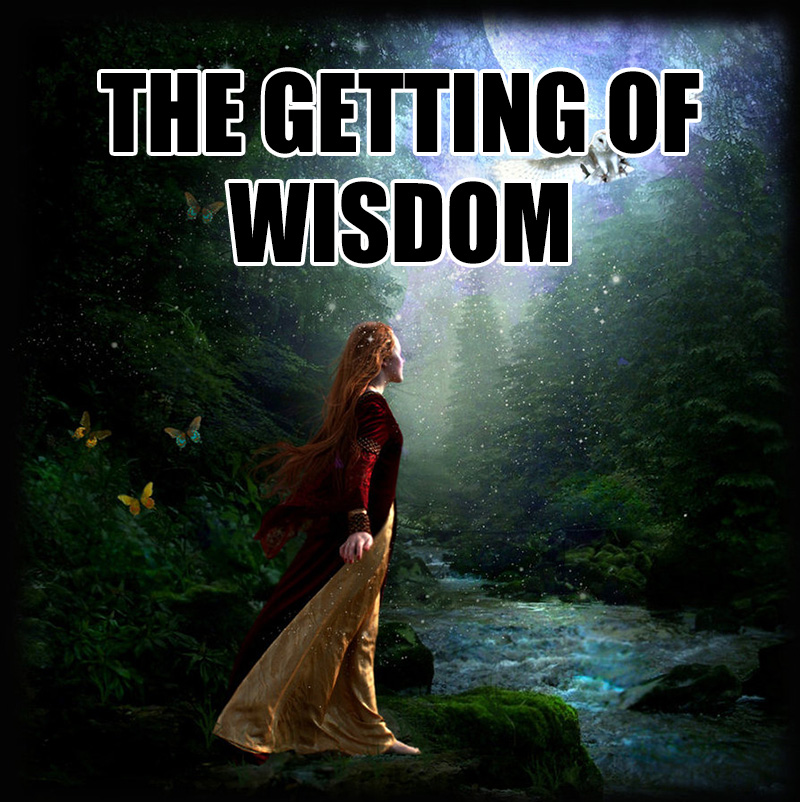 The Getting of Wisdom﻿