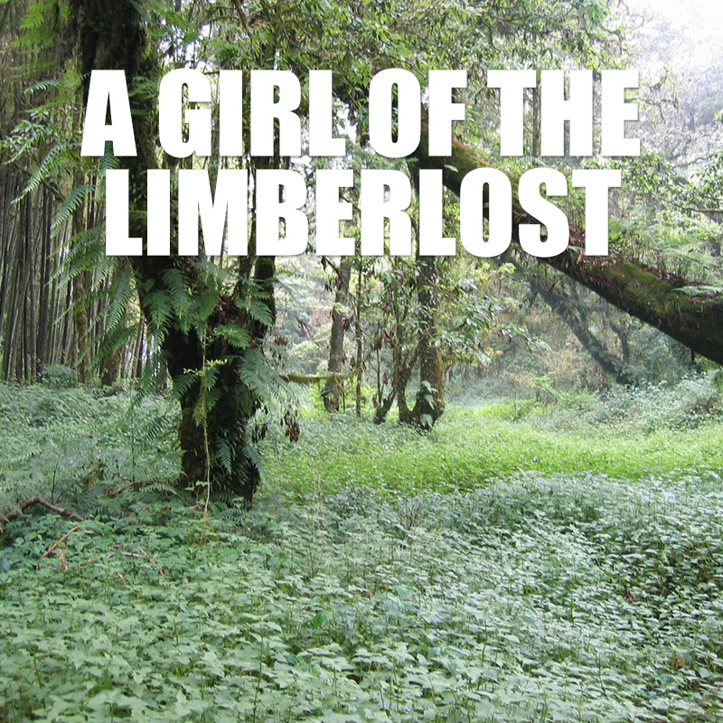 A Girl of the Limberlost﻿