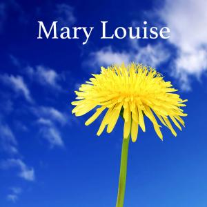 18 – Mary Louise Grows Suspicious
