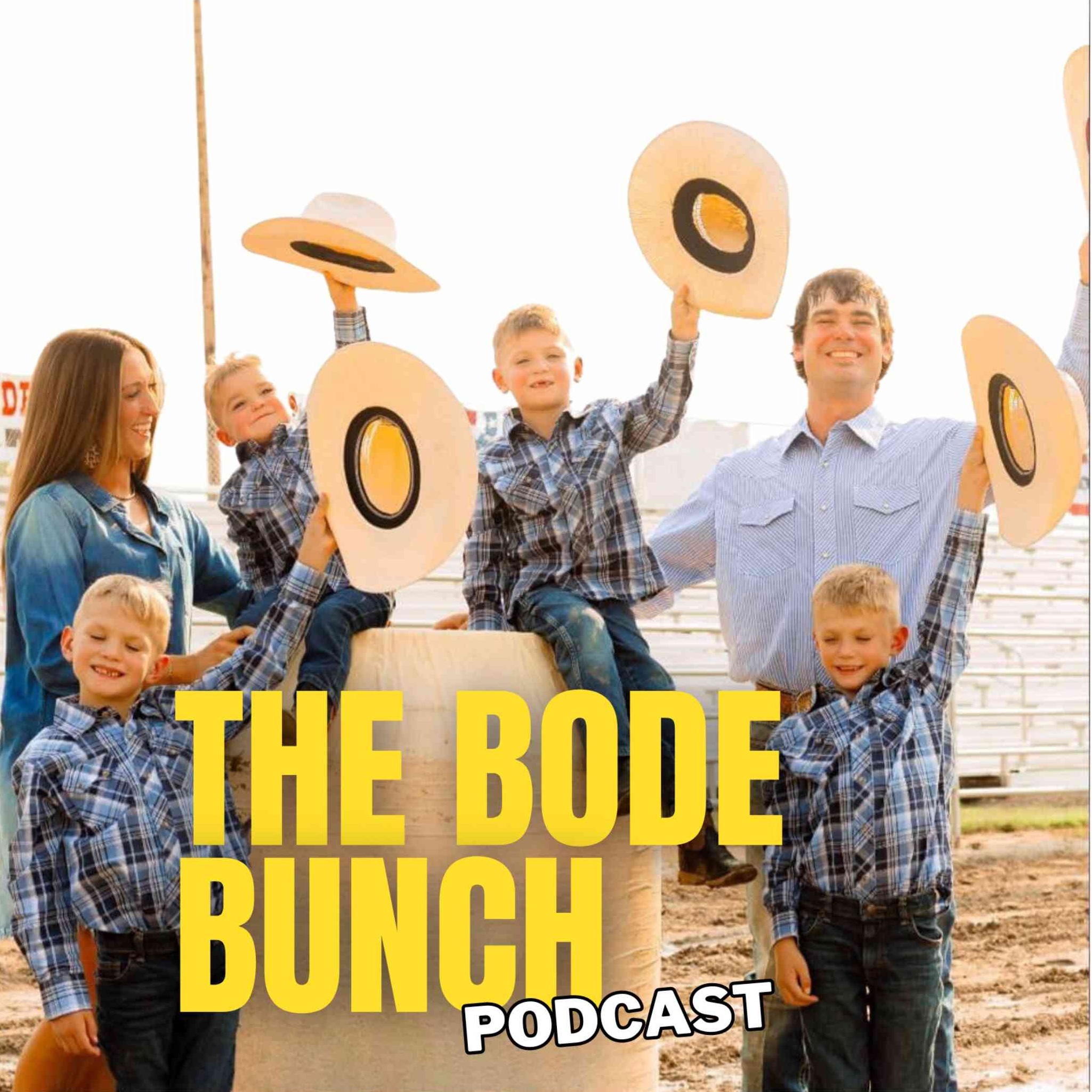 The Bode Bunch