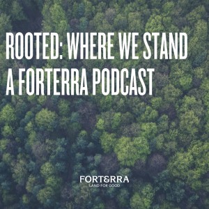 Rooted: Where We Stand